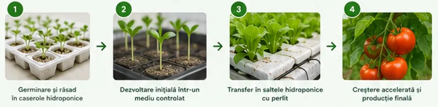 Caserole hidroponice cu perlit